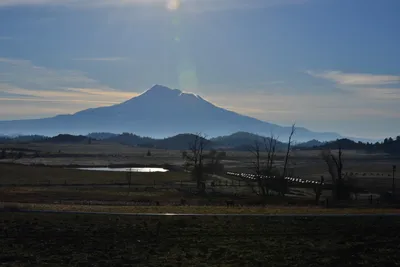 DSC_6027 (Large).JPG